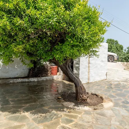 Apartmán Marino's Apollonia